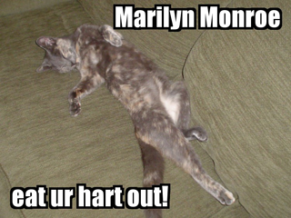 Marilyn Monroe, eat ur hart out!