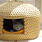 Traditional Japanese Kitty Hive House